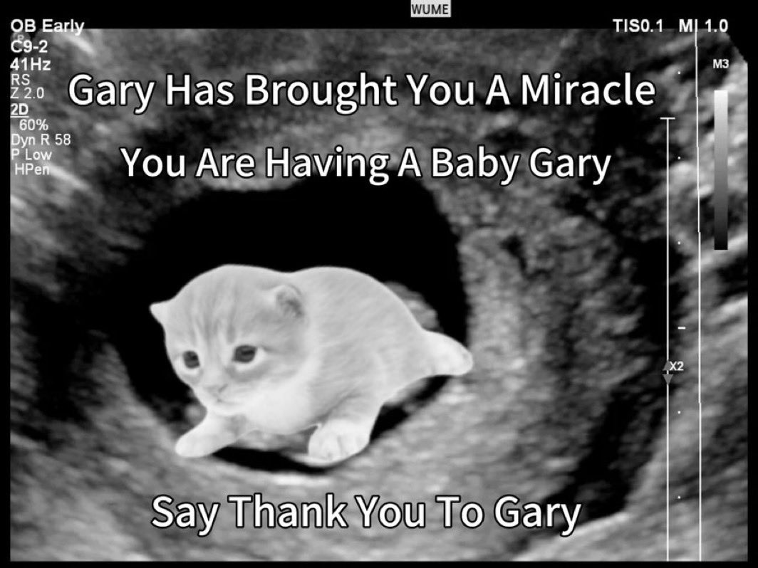 Mpreg