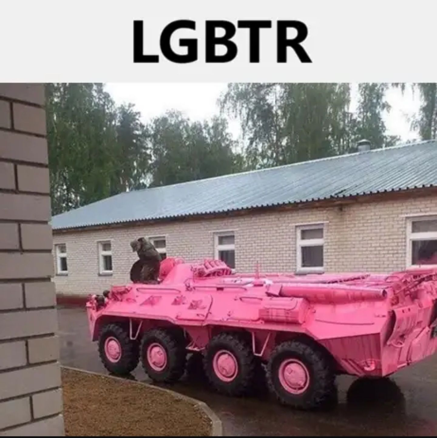 identifying as сука