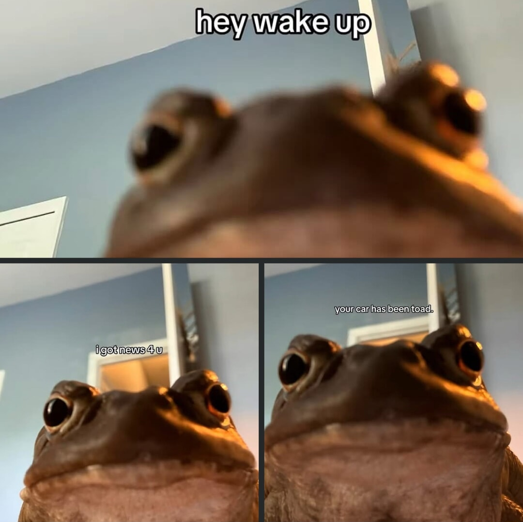 ​​​
