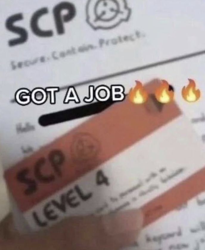 Wish me luck
