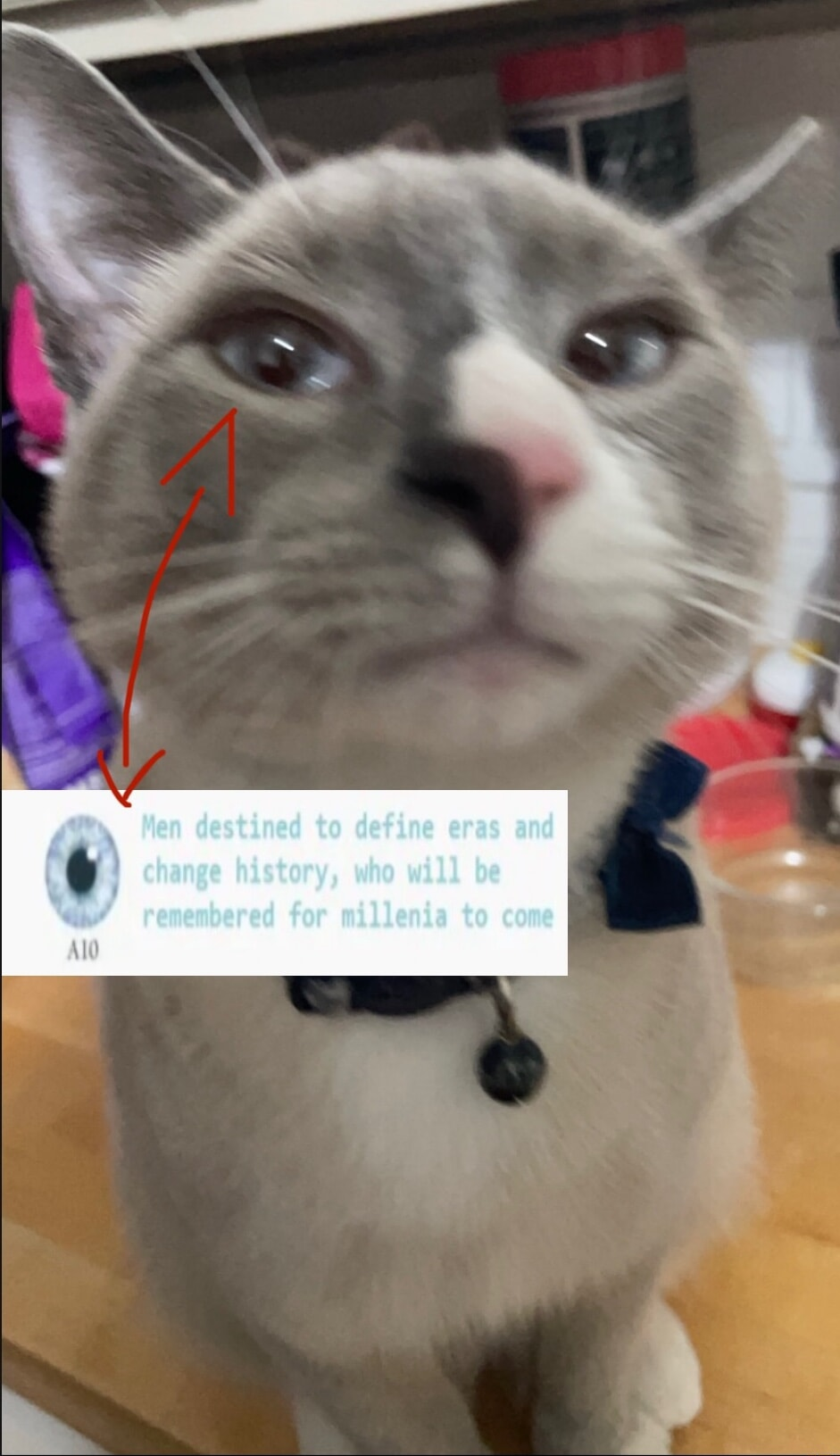 ​​​