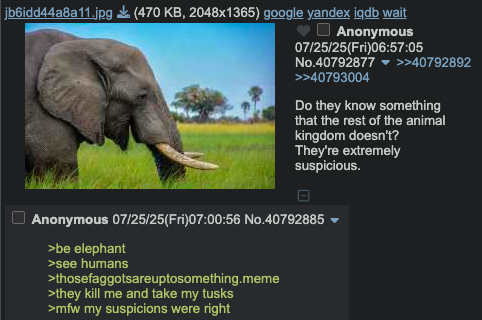 become irrelephant