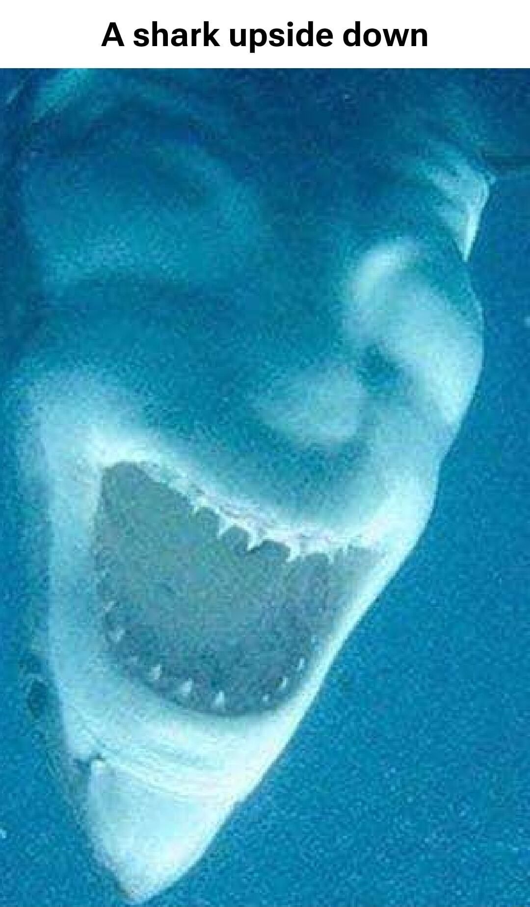 ​​​