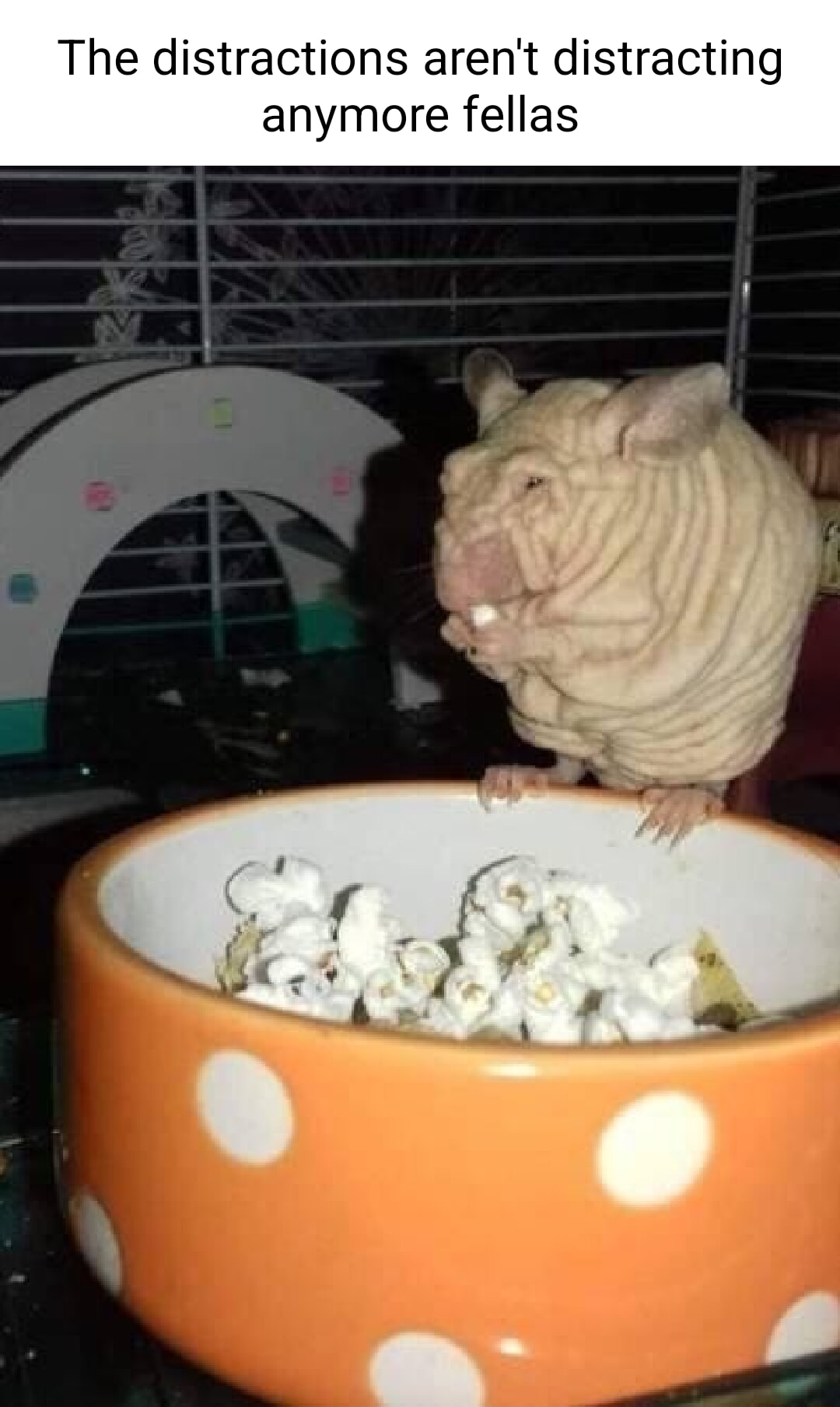 ​​​
