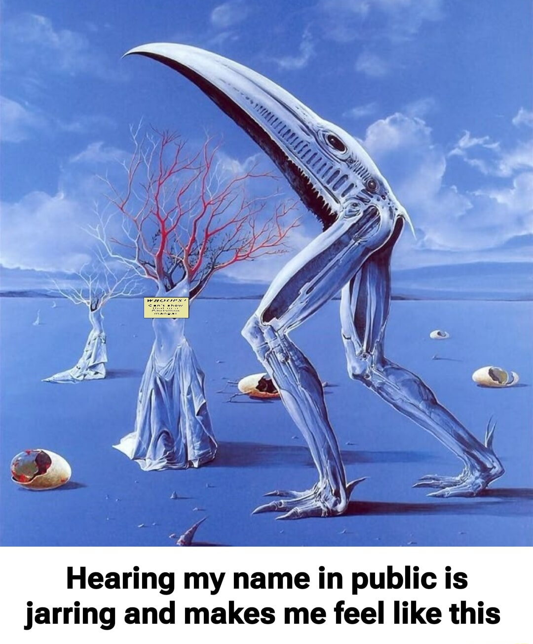 ​​​