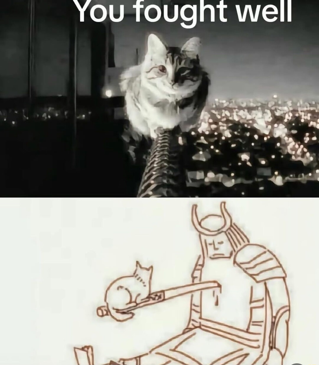 ​​​