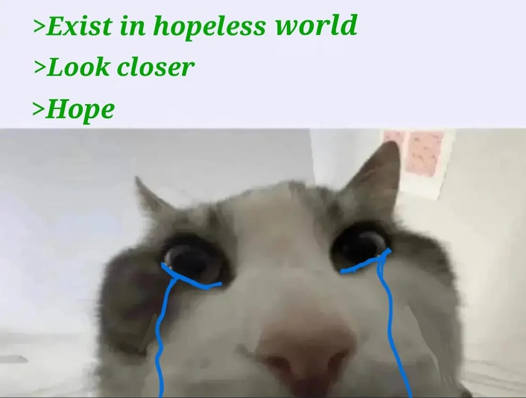 ​​​