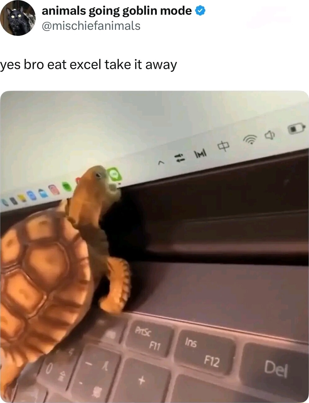 ​​​