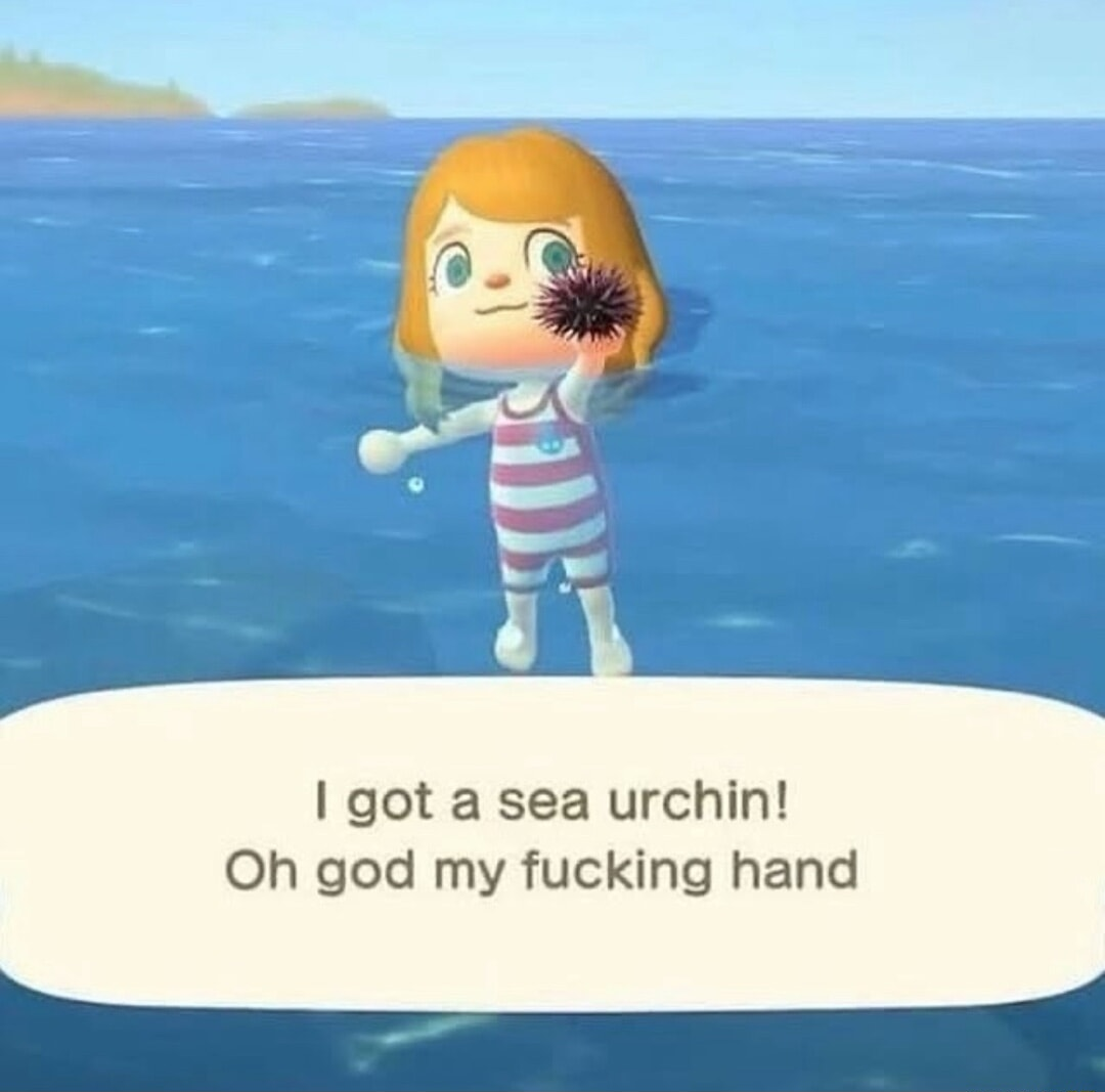 ​​​