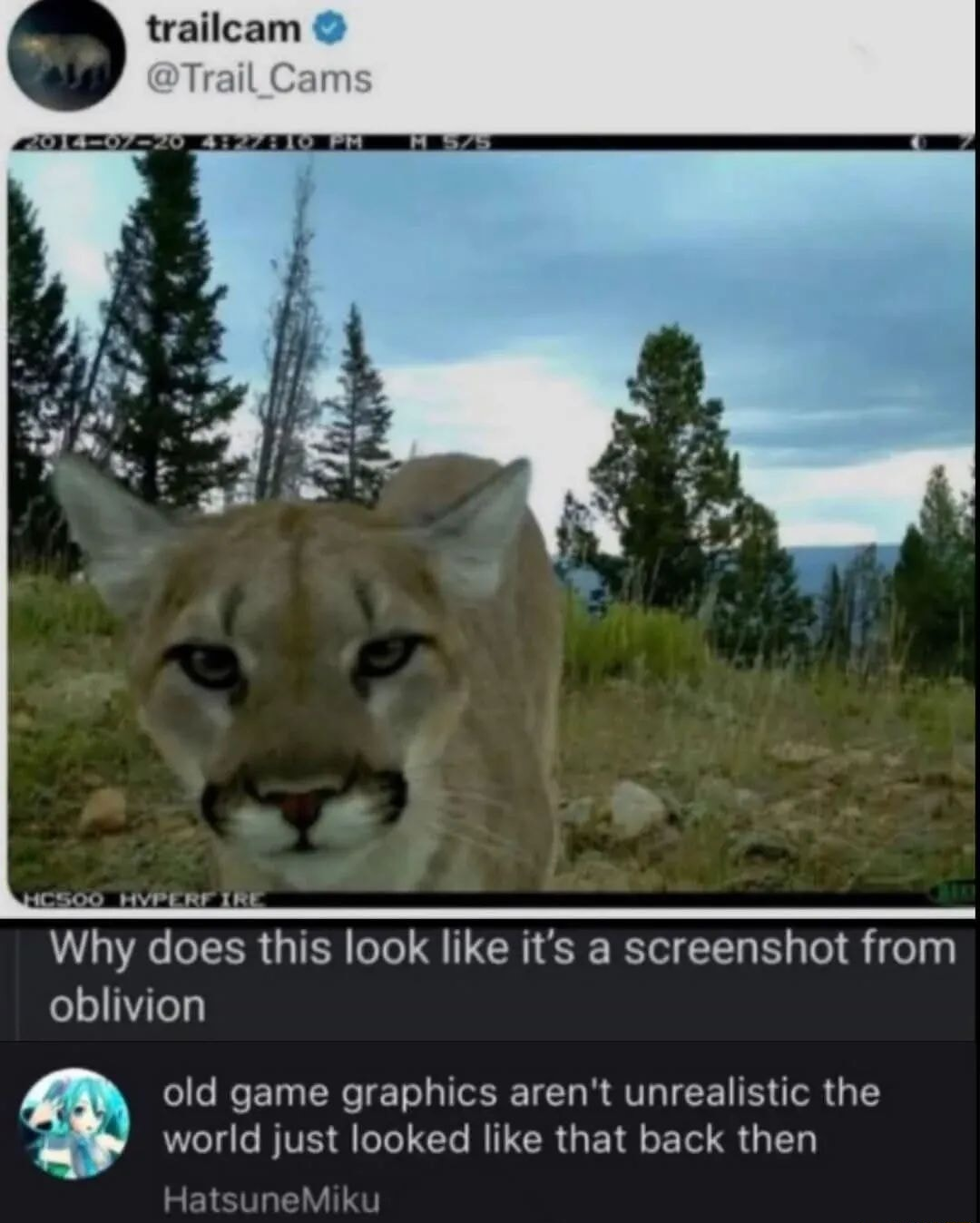 ​​​