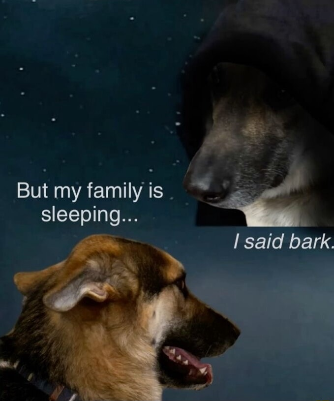 ​​​