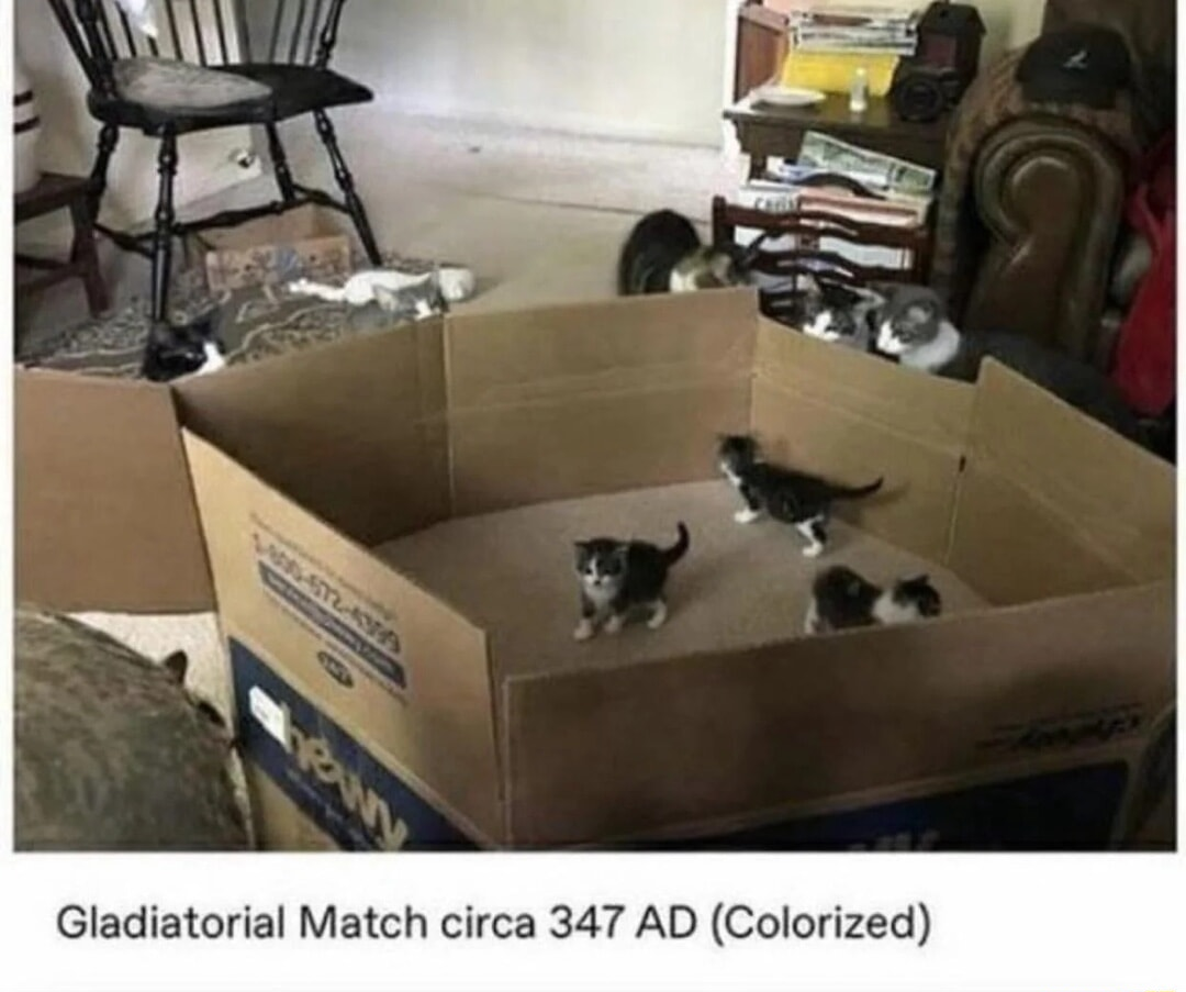 ​​​