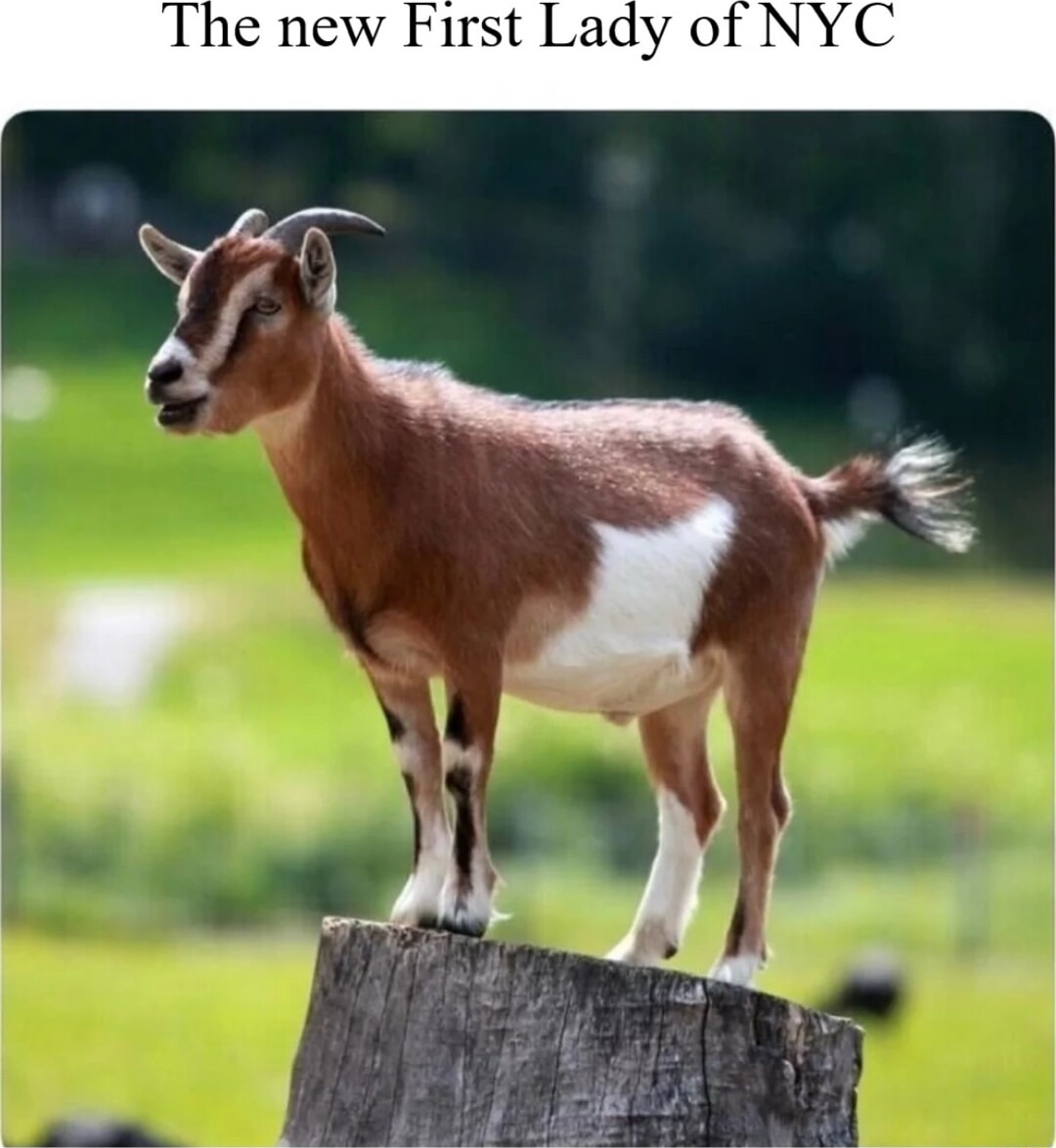 ​​​