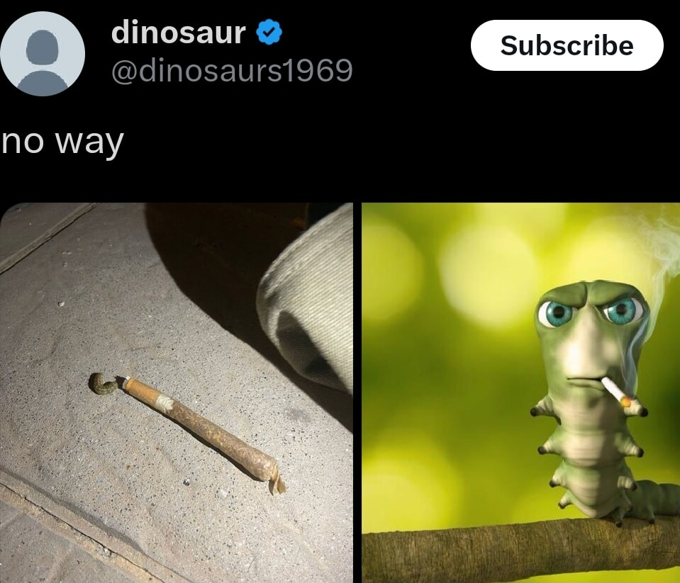 ​​​