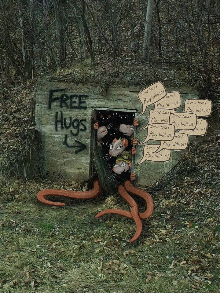 ​​​