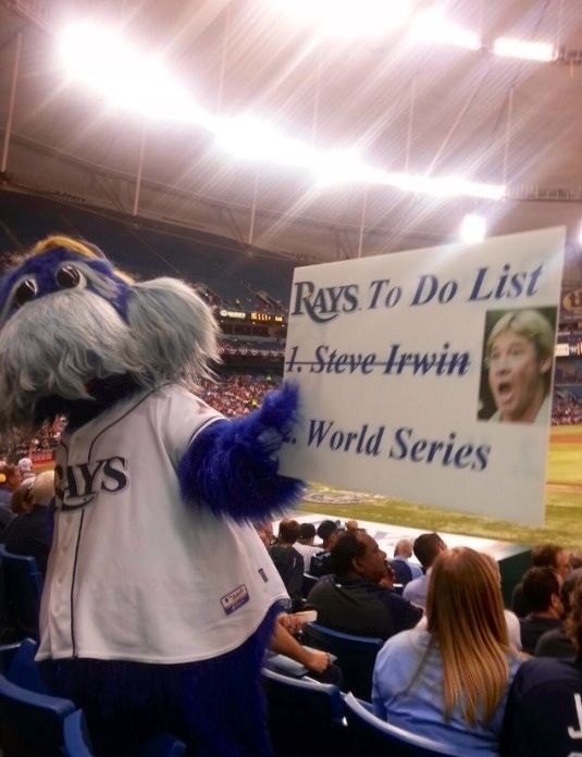 Go rays!