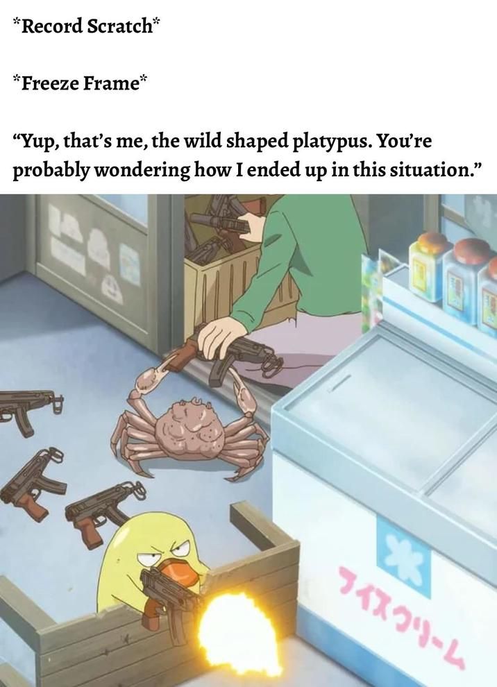 ​​​