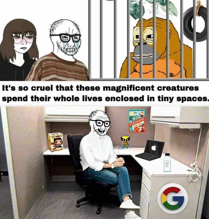 ​​​