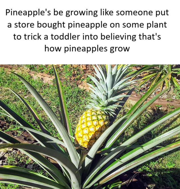 ​​​