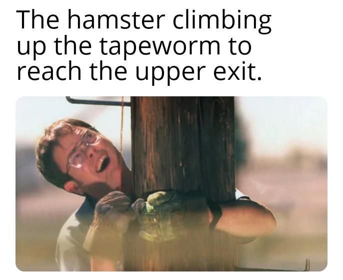 ​​​