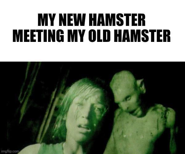 ​​​