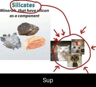 ​​​