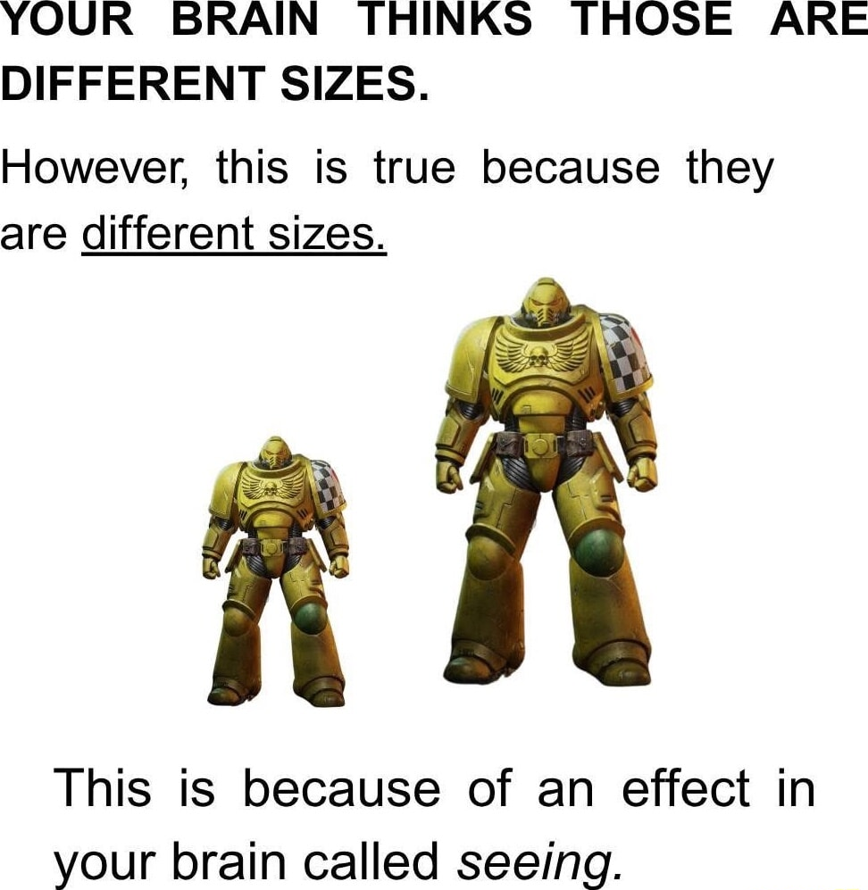 ​​​
