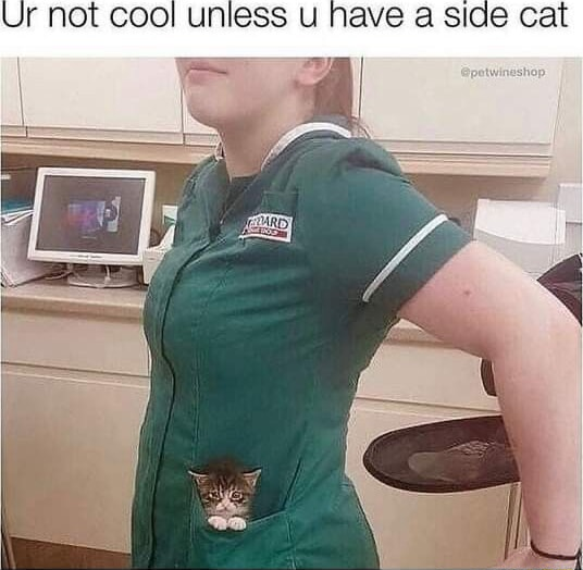 ​​​