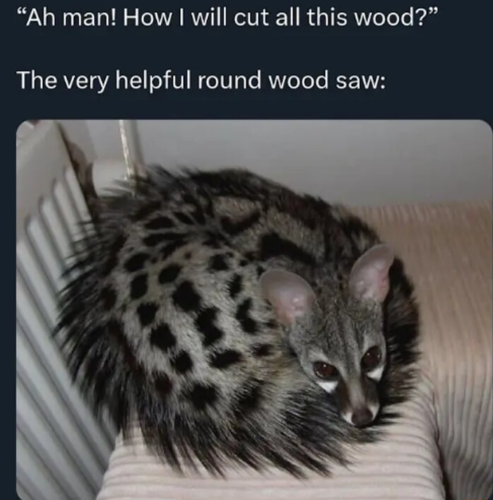 ​​​