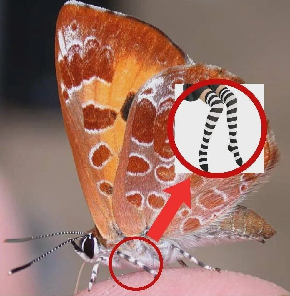 ​​​