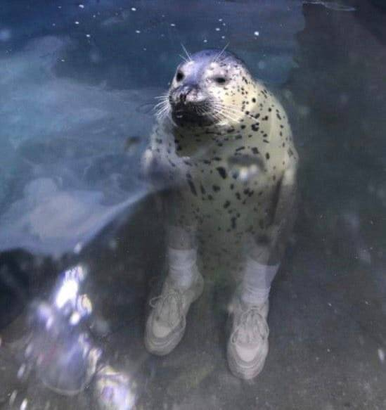 Bro's got so much drip he in water up to his neck
