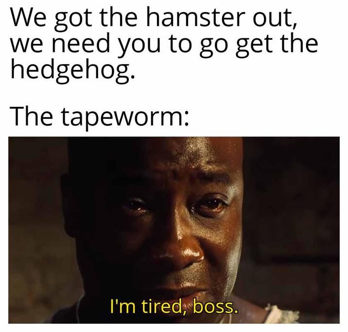 ​​​
