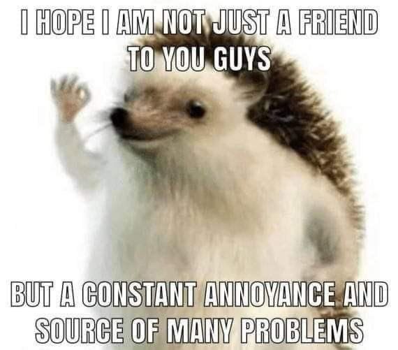 GM HL