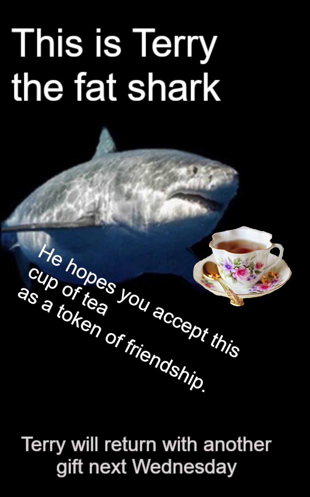 ​​​