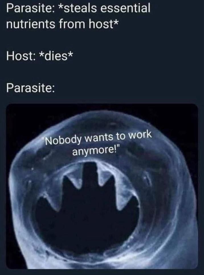 ​​​