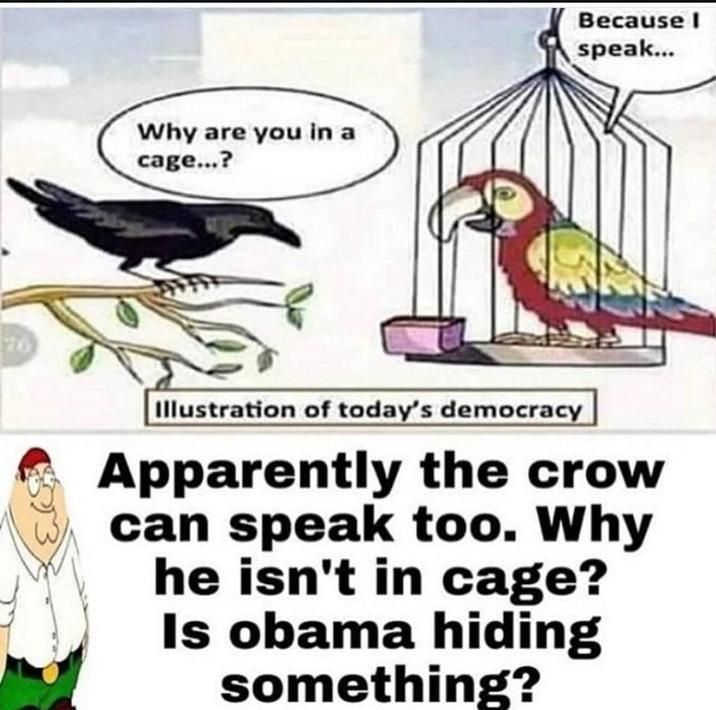 ​​​