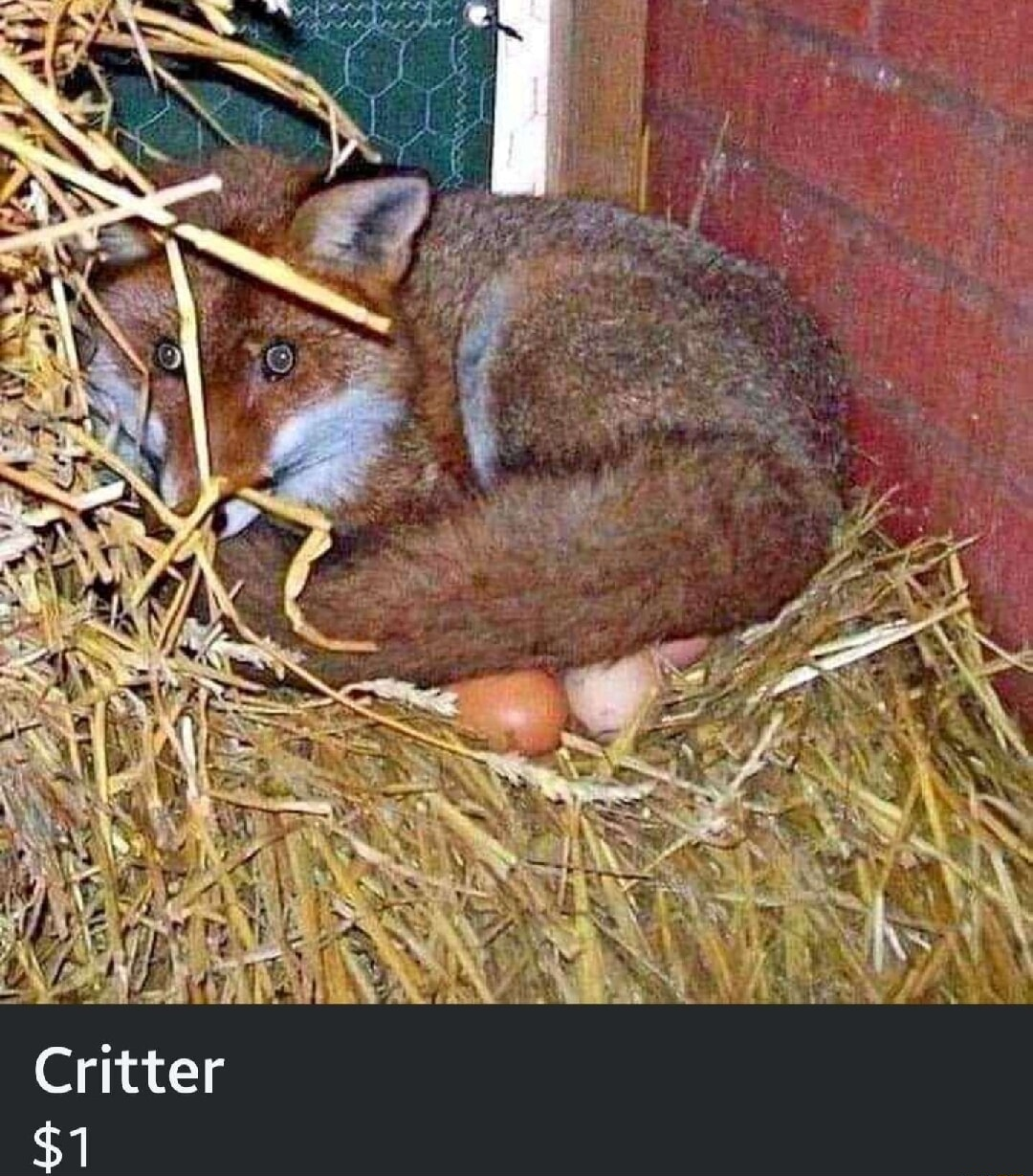 ​​​