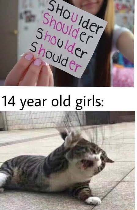 ​​​
