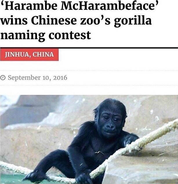 ​​​