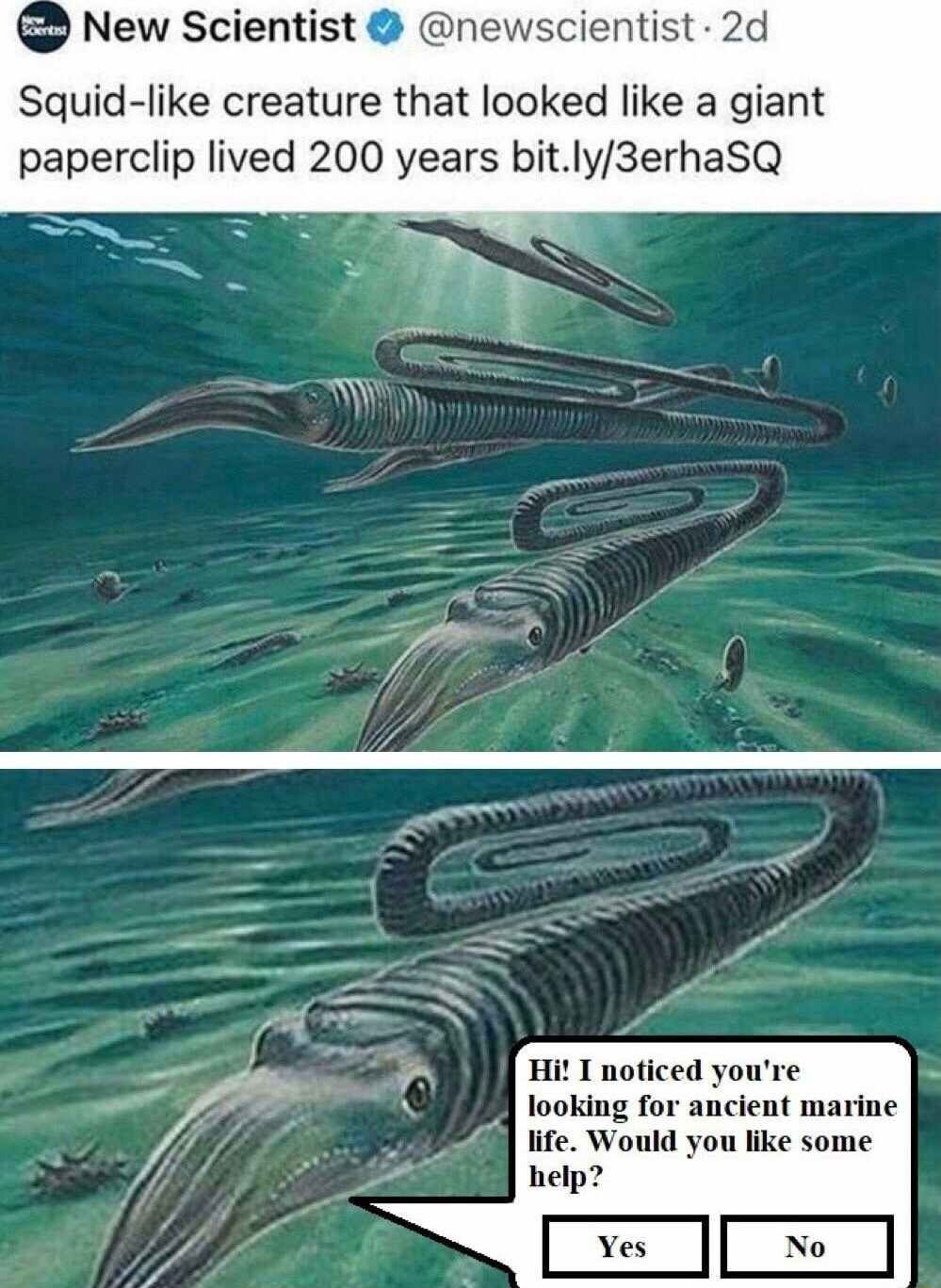 ​​​