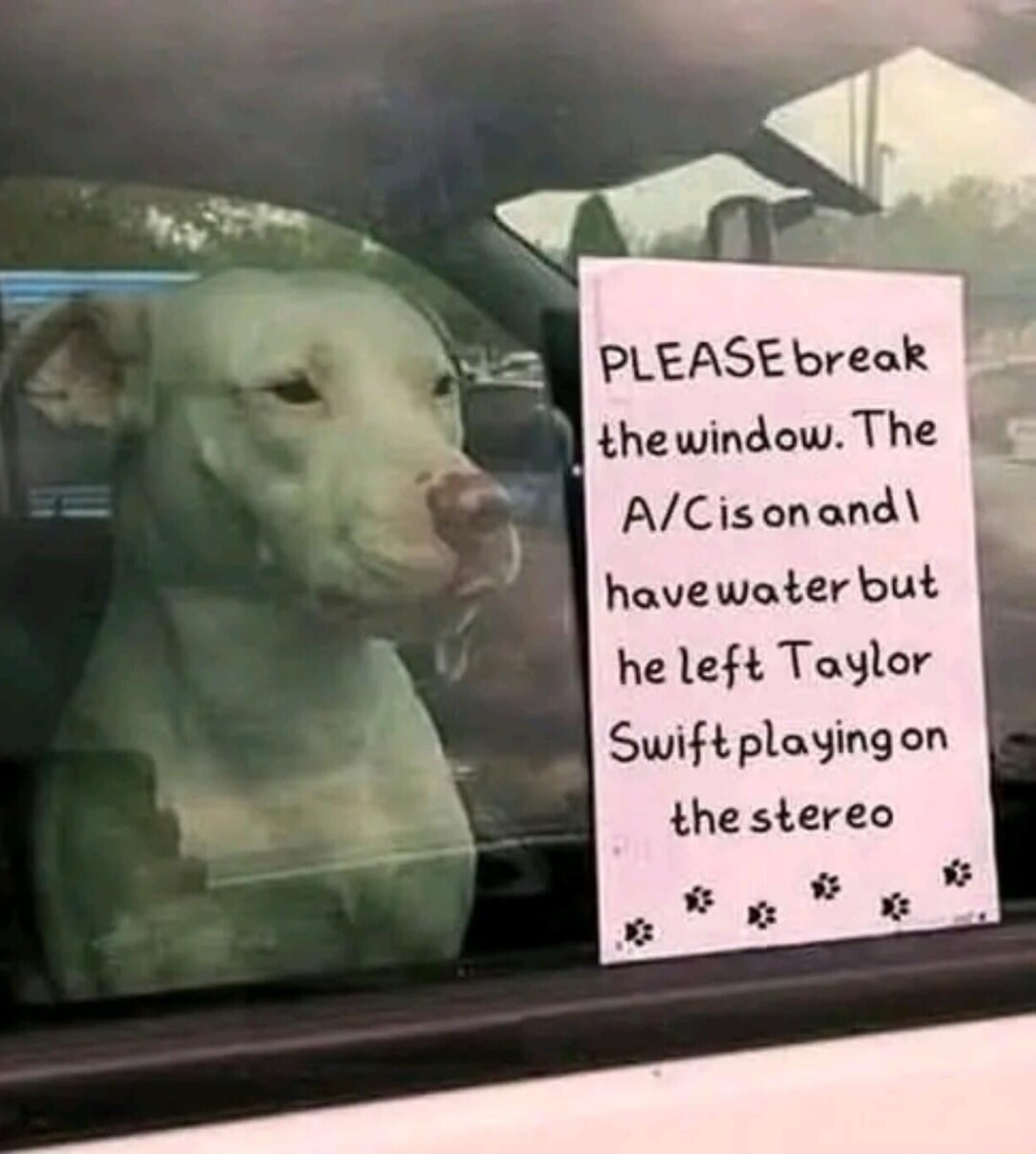 ​​​