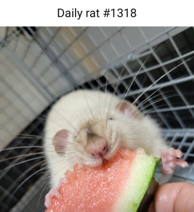 ​​​