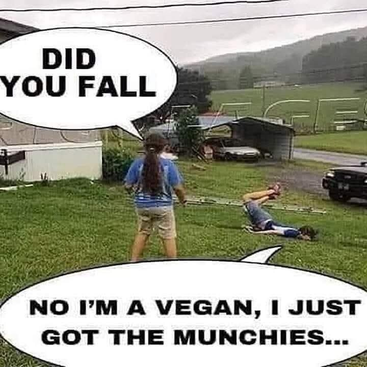 ​​​