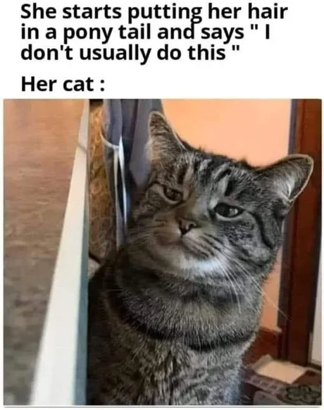 Cat.exe