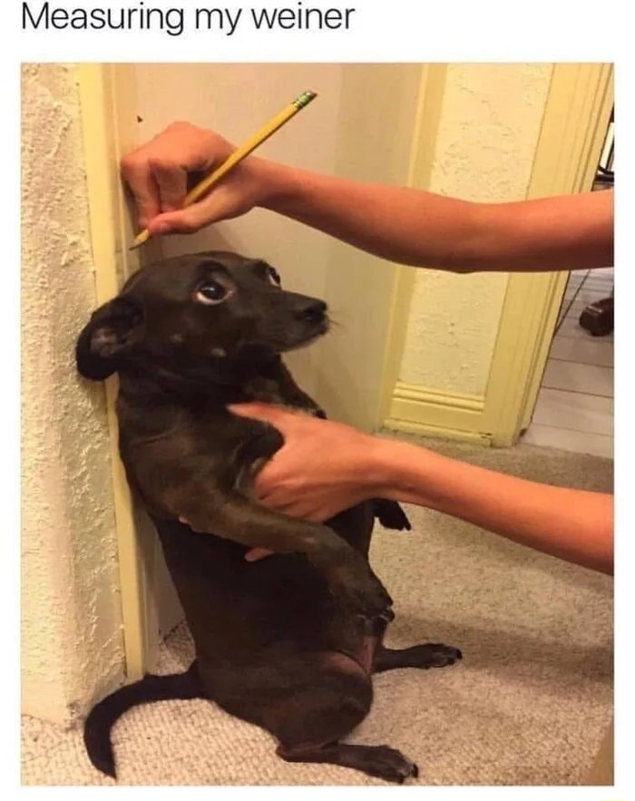 ​​​
