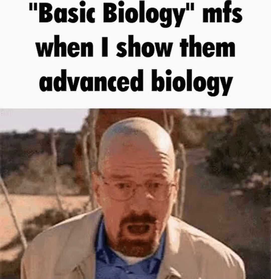 ​​​