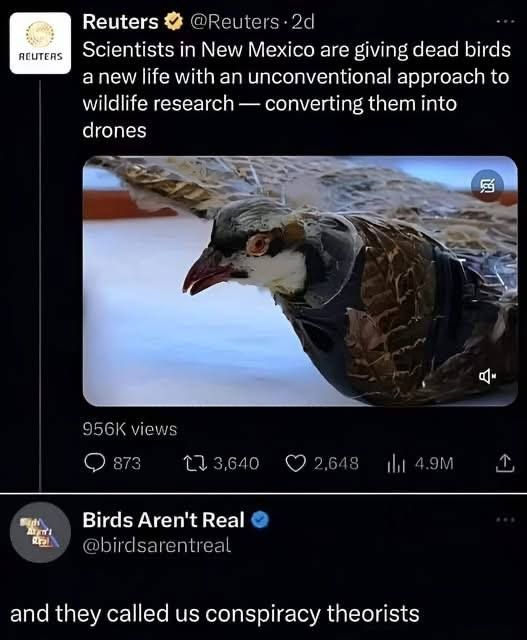 oh shit
