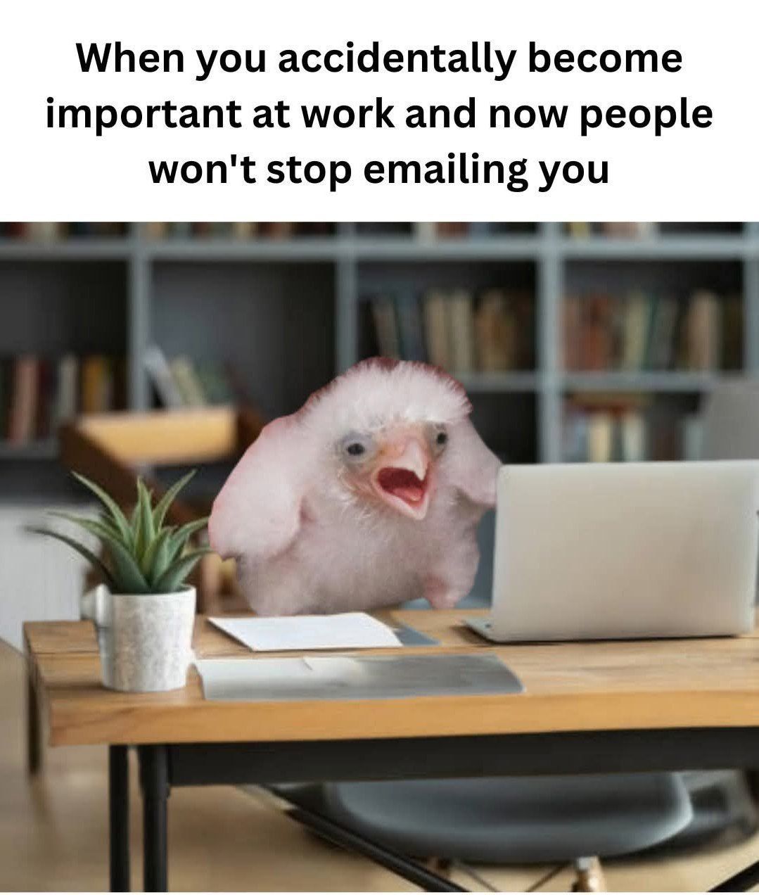 biggest fear