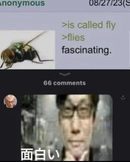 ***