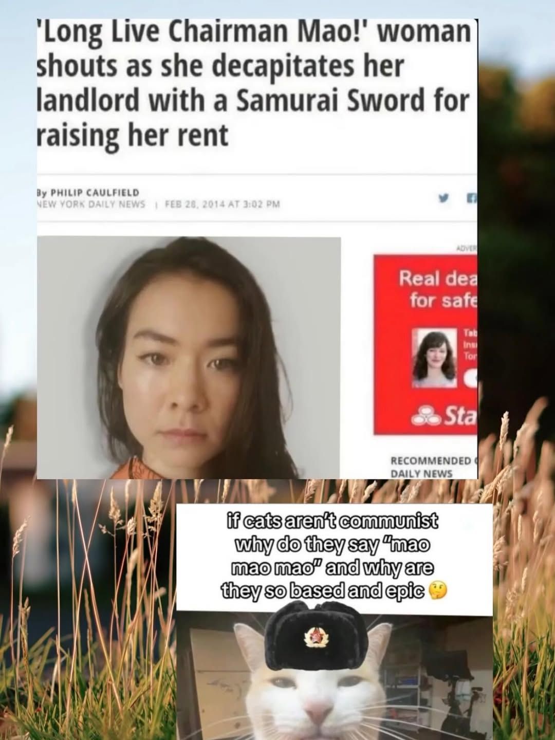 She can fix my landlord